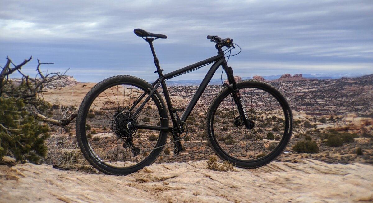 shakedown portrait shakedown portrait